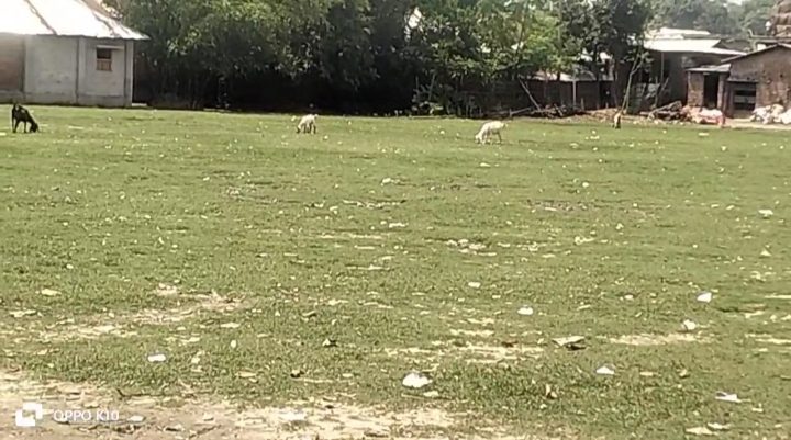 ভোলাহাটের বিনোদন ও সৌন্দর্য বিকাশে নতুন সম্ভাবনার দুয়ার মুন্সিগঞ্জ মাঠ ও মহানন্দার তীর