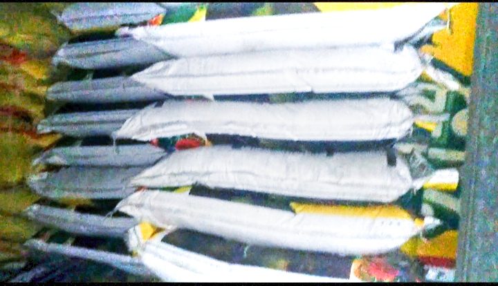 ভোলাহাটে জৈবসার প্রয়োগের পর কৃষকের ২ বিঘা জমির শসার চারা নষ্ট, দিশেহারা সমির